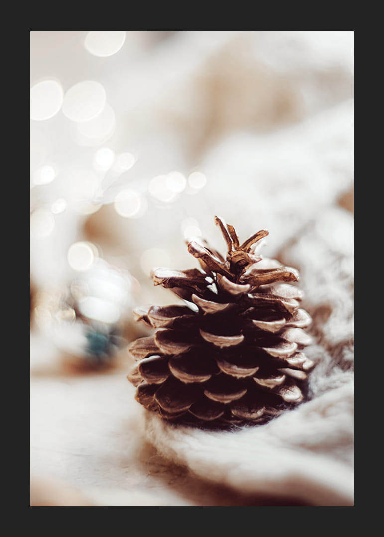 Detailný záber na borovicovú šišku na mäkkom povrchu s rozmazaným svetlým pozadím-12