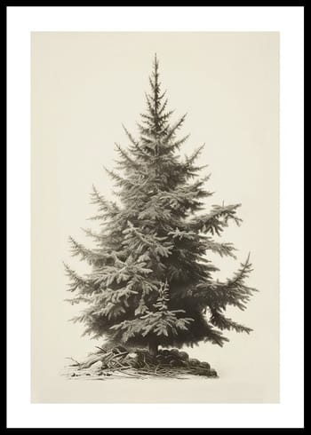 Poster Vintage Fir Tree