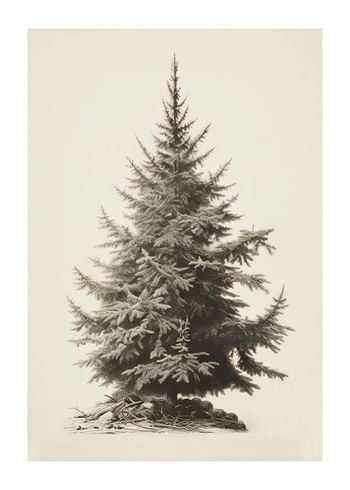 Plakatas Vintage Fir Tree