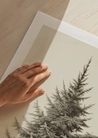 Illustrazione vintage dettagliata di un abete verde su sfondo chiaro-9