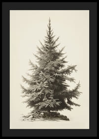 Illustration vintage détaillée d'un sapin vert sur fond clair-4