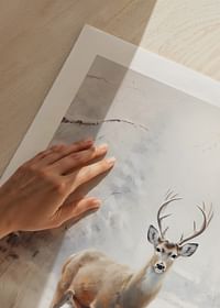Roe Deer In Winter No2-5