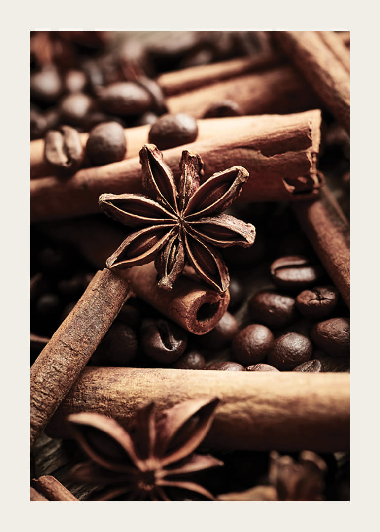 Gros plan sur des bâtons de cannelle, de l'anis étoilé et des grains de café-12