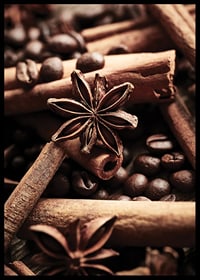 Close-up of cinnamon sticks, star anise and coffee beans-6