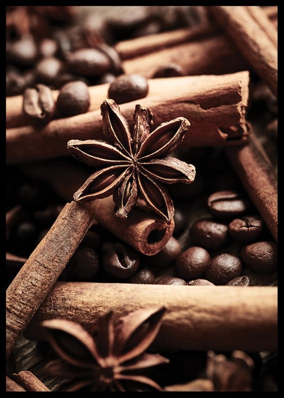 Close-up of cinnamon sticks, star anise and coffee beans-12