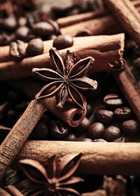 Close-up of cinnamon sticks, star anise and coffee beans-7
