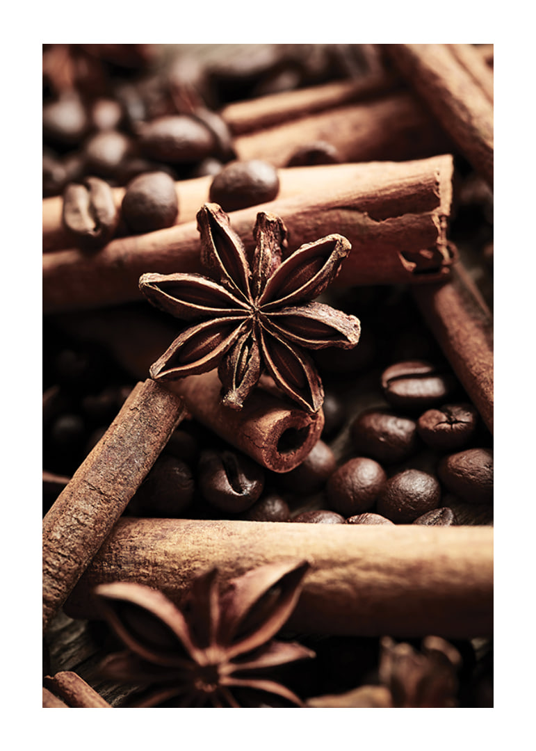 Close-up of cinnamon sticks, star anise and coffee beans-12