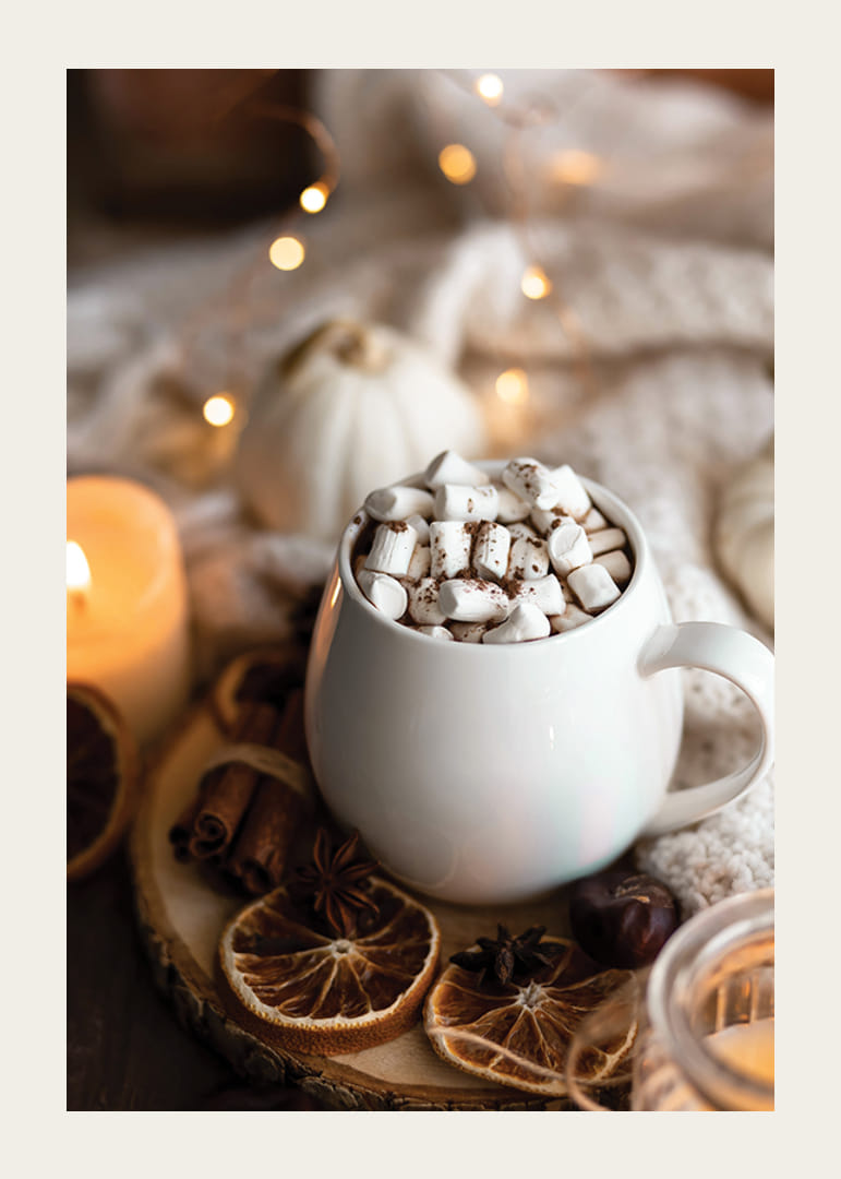 Photograph of white cup of hot chocolate with marshmallows and Christmas spices-12