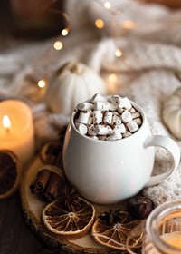 Foto einer weißen Tasse heißer Schokolade mit Marshmallows und weihnachtlichen Gewürzen-7