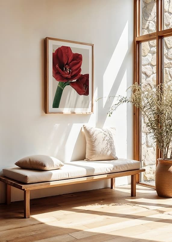 Red Amaryllis-12
