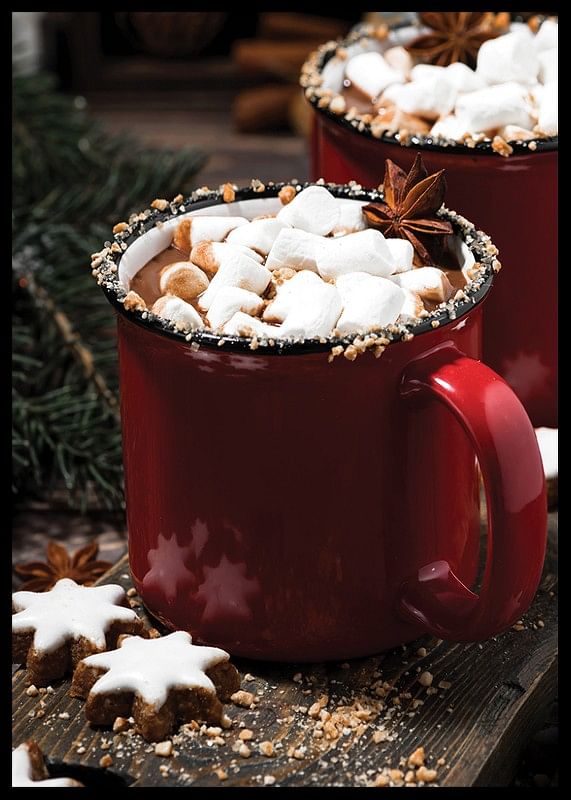 Hot Chocolate Marshmallows No2-12