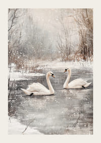 Ilustrație cu două lebede pe un iaz înghețat cu ninsoare-3