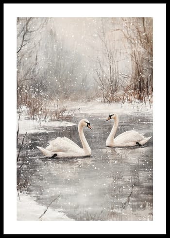 Poster Winter Swans