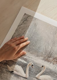 Divu gulbju ilustrācija uz sasaluša dīķa ar sniegputeni-9
