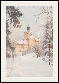 Nudažyta pilis žiemos peizaže su sniegu padengtais medžiais ir žibintais-2