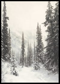 Sentier hivernal illustré à travers une forêt d'épicéas enneigée dans le brouillard-6