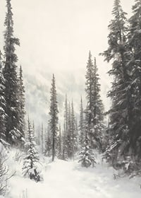 Sentier hivernal illustré à travers une forêt d'épicéas enneigée dans le brouillard-7
