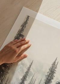 Sentier hivernal illustré à travers une forêt d'épicéas enneigée dans le brouillard-9