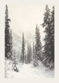 Illustreret vintersti gennem snedækket granskov i tåge-3