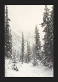 Illustreret vintersti gennem snedækket granskov i tåge-5