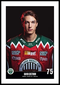 David Edstrom #75 Frölunda HC 2023/2024-0