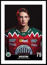 David Edstrom #75 Frölunda HC 2023/2024-0