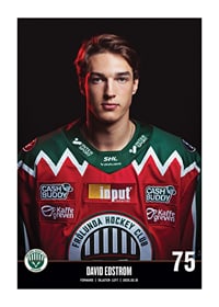 David Edstrom #75 Frölunda HC 2023/2024-1