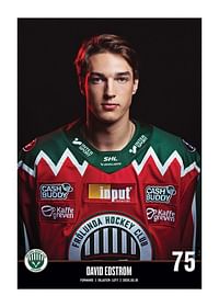 David Edstrom #75 Frölunda HC 2023/2024-1