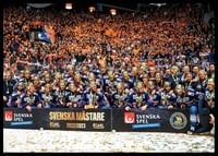 Svenska Mästare 2022/2023 Horizontal Växjö Lakers-2