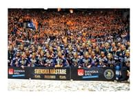 Svenska Mästare 2022/2023 Horizontal Växjö Lakers-1