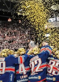 Guldfirande Västra Stå No2 Växjö Lakers-3