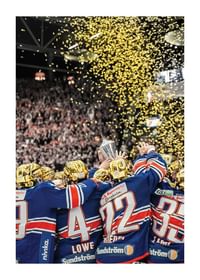 Guldfirande Västra Stå No2 Växjö Lakers-1