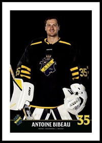 Antoine Bibeau #35 AIK Hockey 2023/2024-0