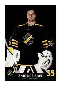 Antoine Bibeau #35 AIK Hockey 2023/2024-1