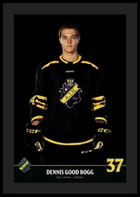 Dennis Good Bogg #37 AIK Hockey 2023/2024-0
