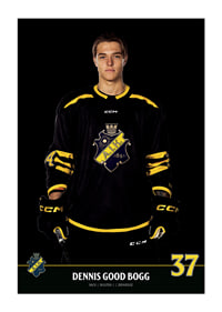 Dennis Good Bogg #37 AIK Hockey 2023/2024-3