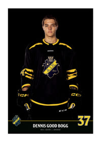 Dennis Good Bogg #37 AIK Hockey 2023/2024-3