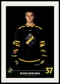 Dennis Good Bogg #37 AIK Hockey 2023/2024-4