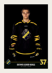 Dennis Good Bogg #37 AIK Hockey 2023/2024-5