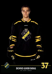 Dennis Good Bogg #37 AIK Hockey 2023/2024-6