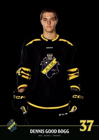 Dennis Good Bogg #37 AIK Hockey 2023/2024-7