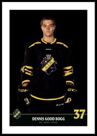 Dennis Good Bogg #37 AIK Hockey 2023/2024-0
