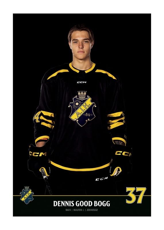 Dennis Good Bogg #37 AIK Hockey 2023/2024-12