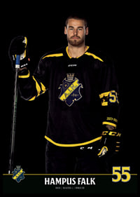 Hampus Falk #55 AIK Hockey 2023/2024-6