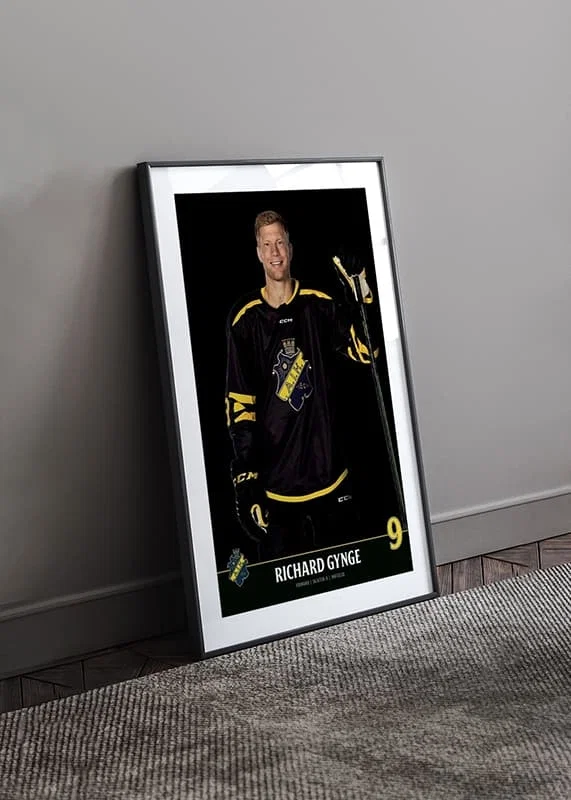 Richard Gynge #9 AIK Hockey 2023/2024-12