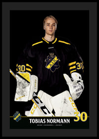 Tobias Normann #30 AIK Hockey 2023/2024-0