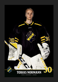 Tobias Normann #30 AIK Hockey 2023/2024-1