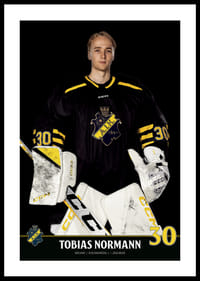 Tobias Normann #30 AIK Hockey 2023/2024-2