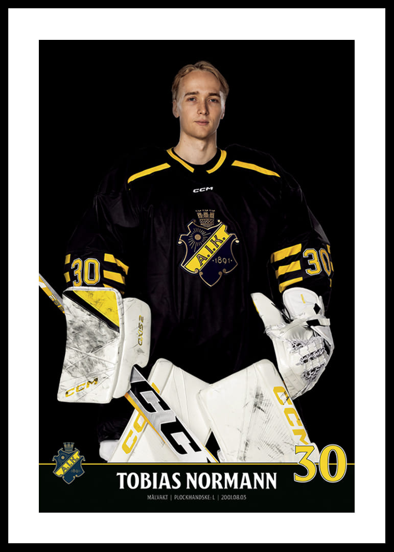 Tobias Normann #30 AIK Hockey 2023/2024-12