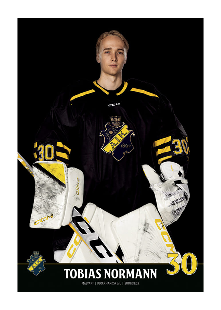 Tobias Normann #30 AIK Hockey 2023/2024-12